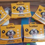 La Pezcera – Peluquería Canina en Roquetas De Mar