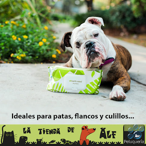 La Tienda De Alf en Lugo