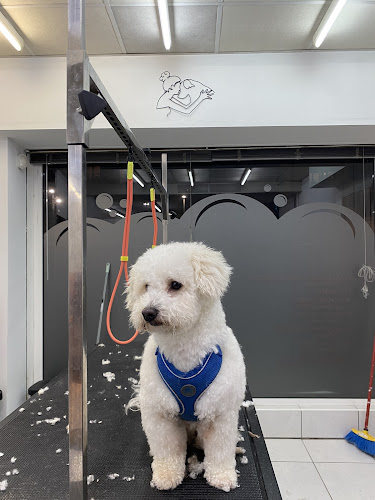 Lagun Garbi en Gipuzkoa