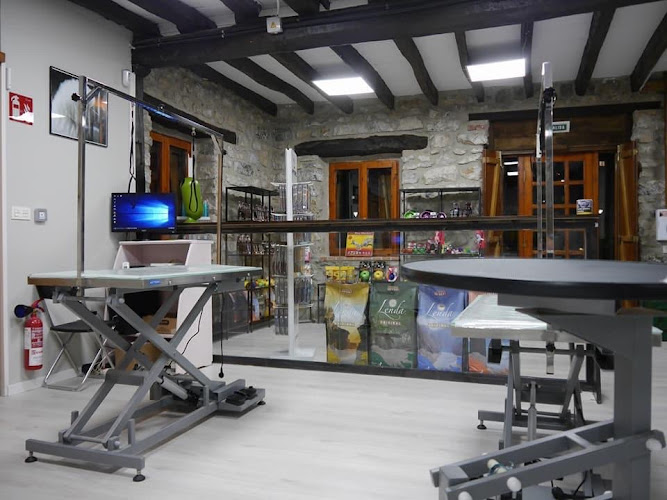 Lagundog en Gipuzkoa