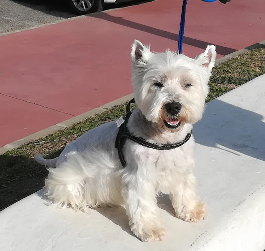 (Lara) R.victoria en Málaga