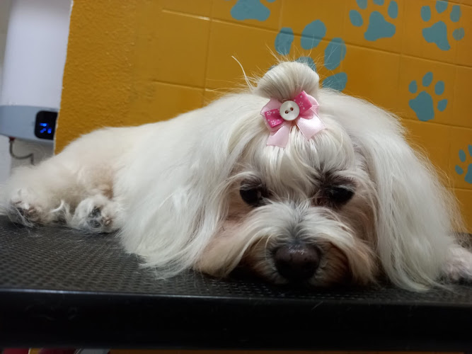 Las Huellas De Cuca en Ávila