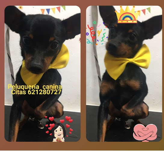 Las Huellas De Rosa en Almería