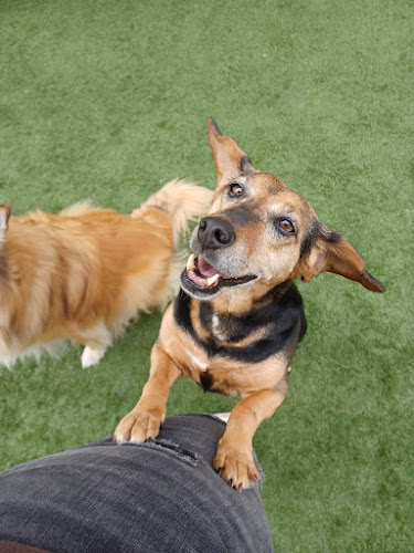 Las Huellitas De Alba en Palencia