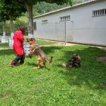 Las Mascotas De Ines Centro Canino – Peluquería Canina en Alsasua – Altsasu