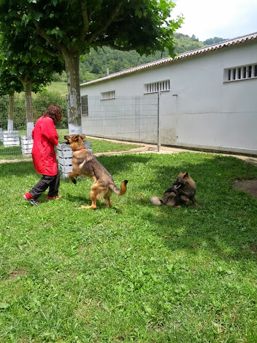 Las Mascotas De Ines Centro Canino en Navarra