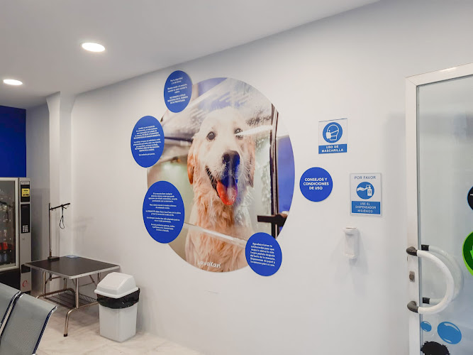 Lavakan | Spa Para Mascotas en Biscay