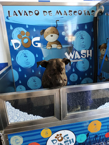 Lavamascotas Salamanca en Salamanca