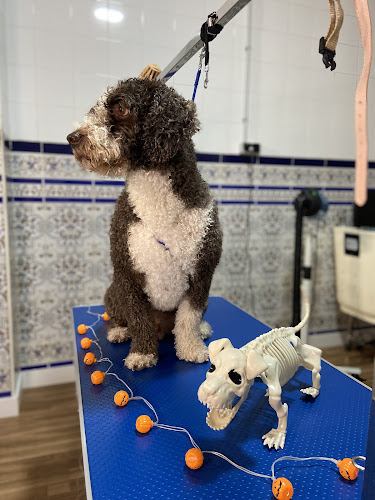 Limacan Dog Grooming en Huelva