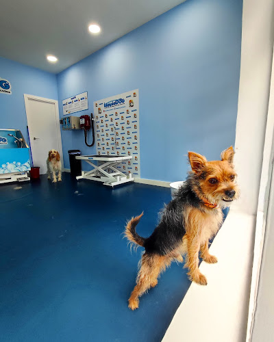 Limpiadog Buenavista. Peluquería Canina, Autolavado Y Tienda. en Asturias