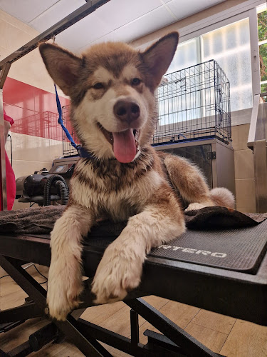 Lucas & Lola en Málaga