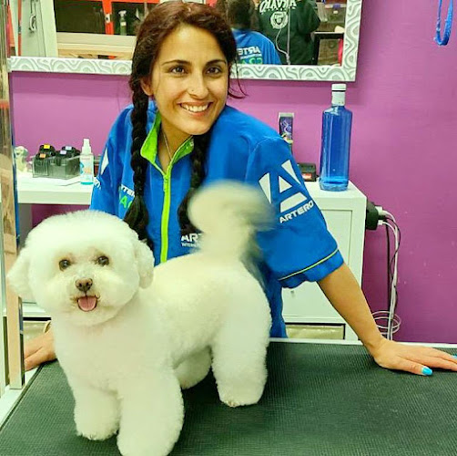Luxury Dog Peluquería De Mascotas en Madrid