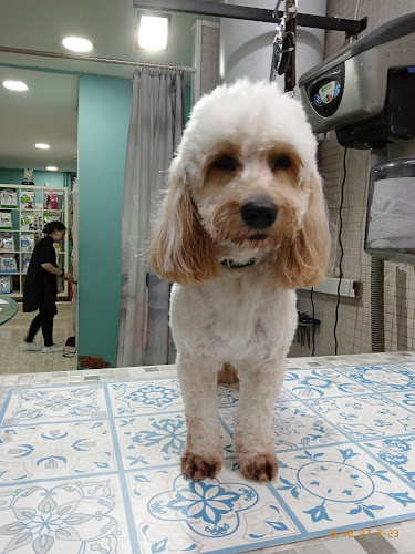 Mai Friends en Barcelona