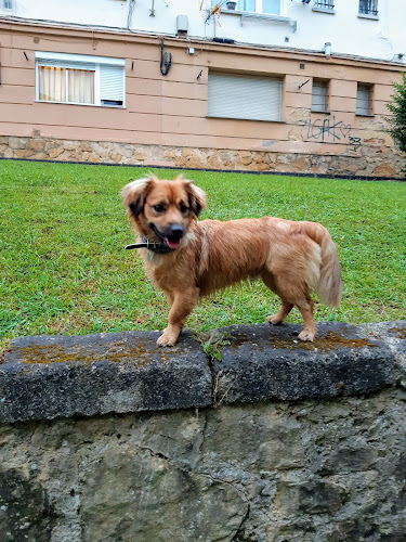 Mas Can Pumarin - Tienda Y Peluqueria Canina Y Felina en Asturias