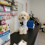 Más Que Pelos – Peluquería Canina en Pamplona