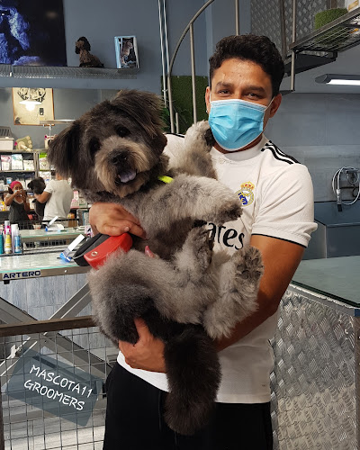 Mascota 11 en Málaga