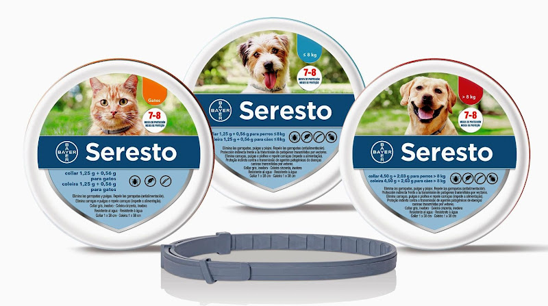 Mascotas Chow Chow en Almería