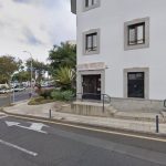 Mascotas Darky – Peluquería Canina en La Laguna