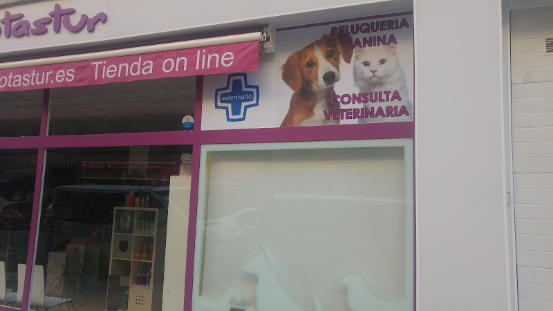 Mascotastur - Tienda Fisica Y Online, Clinica Veterinaria Redivet - Oviedo en Asturias