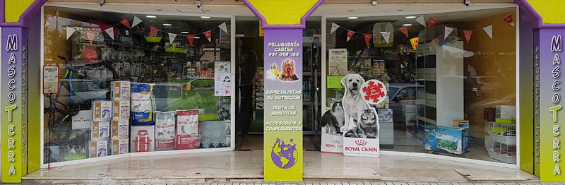 Mascoterra en Málaga