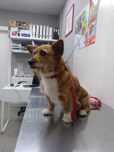 Mascovet Peluquería Canina Y Felina en Tarragona