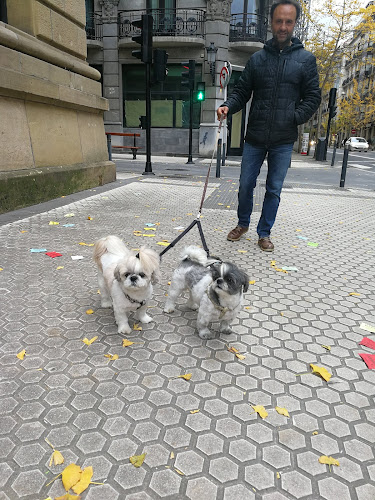 Maskotxoko en Gipuzkoa