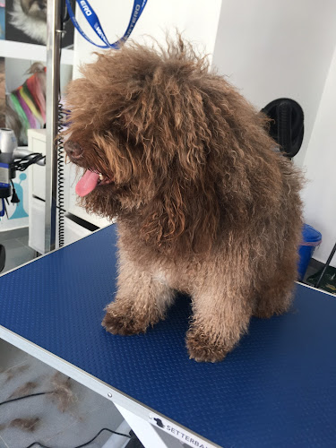 Mavi Gutiérrez en Málaga