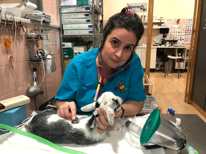 Medivet 24 Horas Los Sauces Chamberi en Madrid