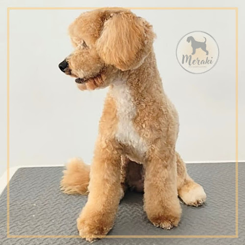 Meraki (Peluquería Canina) en Almería
