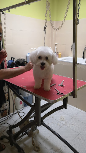 Mimosos Perruquería Canina, Natural Greatness, Natura Diet, Tramp en Girona