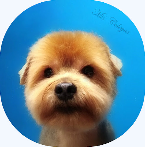 Mis Colegas en Zaragoza