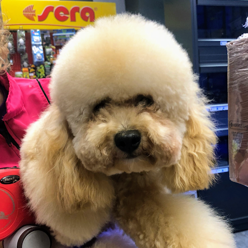 Moises Acuarios & Mascotas en Pontevedra