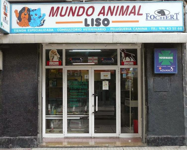 Mundo Animal Liso en Zaragoza