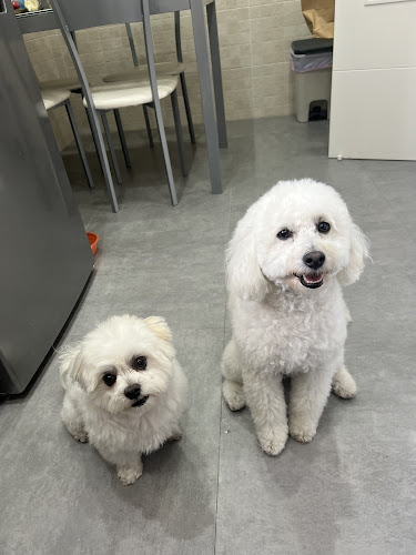 Mundogatuno en Málaga