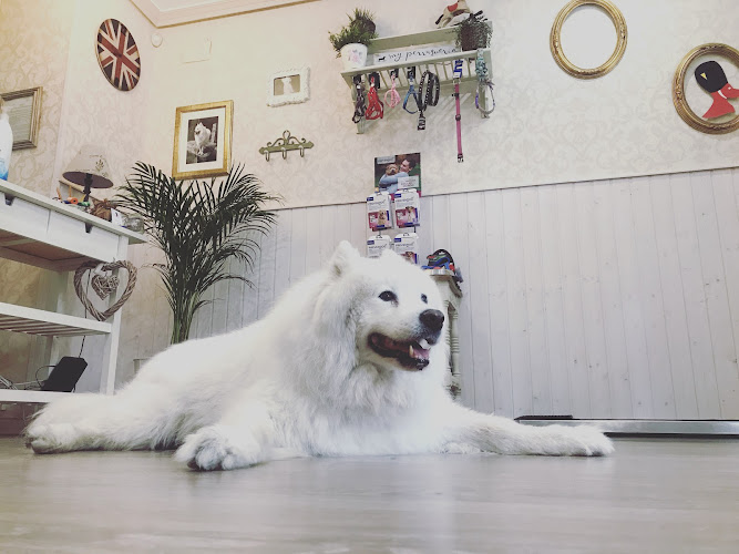 My Perruquería en Zaragoza