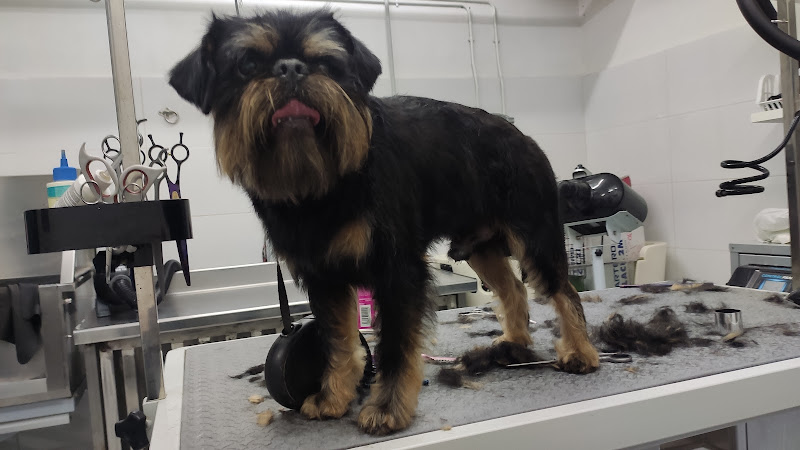 Mya; Molly Max Y Ana Esther en Gipuzkoa