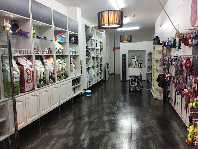 Oh My Dog! en Palencia