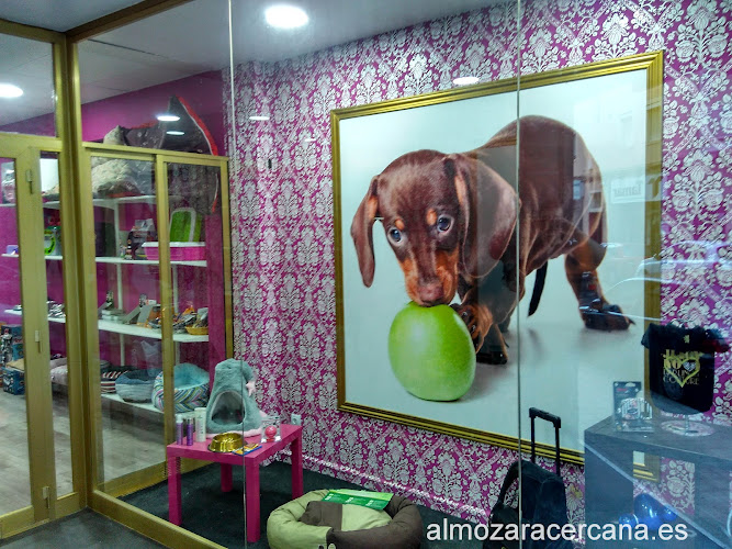 Oh My Dog! Zaragoza en Zaragoza