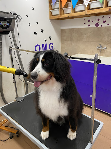 Oh My Gos (Horta) Peluquería Y Estética Canina en Barcelona