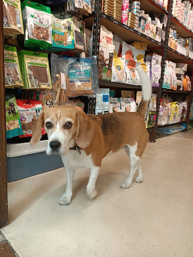 Oh My Gos! Tienda Para Mascotas C/ Agullers 18 Barcelona en Barcelona