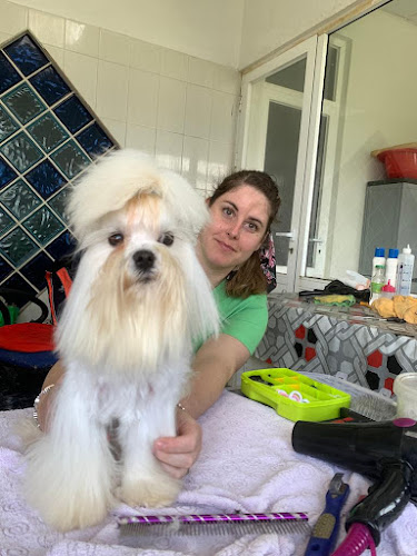 Oliva Fernández · Peluquería Azureus Pets en A Coruña