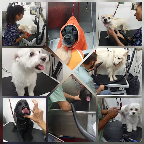 Paraíso Animal Montbau en Barcelona