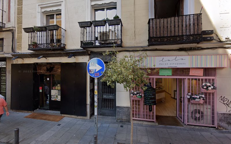 Paseo De Mascotas en Madrid