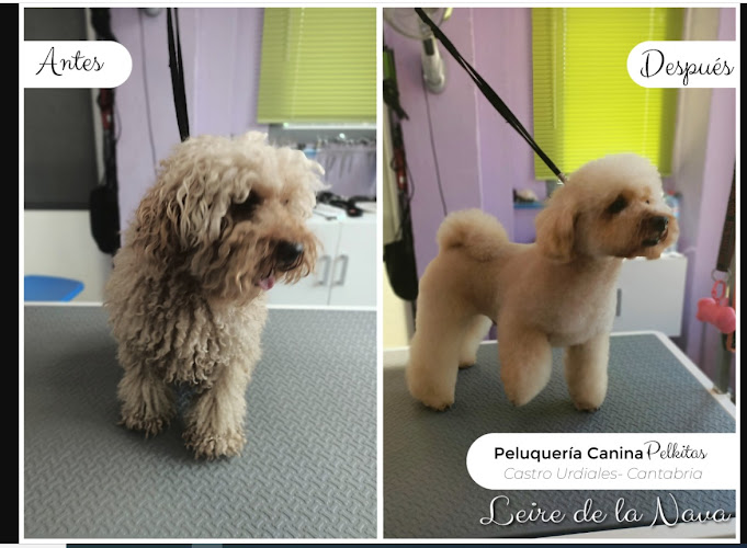 Pelkitas en Cantabria
