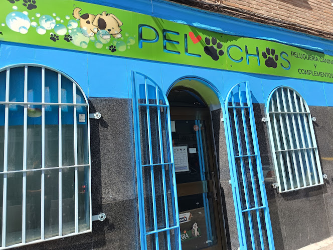 Pelochos Peluquería Canina en Madrid