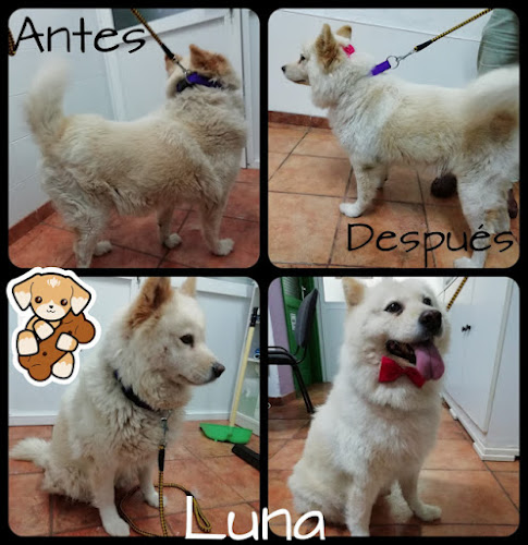 Pelucan Lpa en Las Palmas