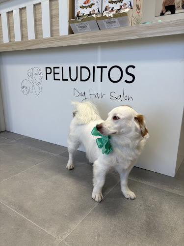 Peluditos Dog Hair Salon en Almería