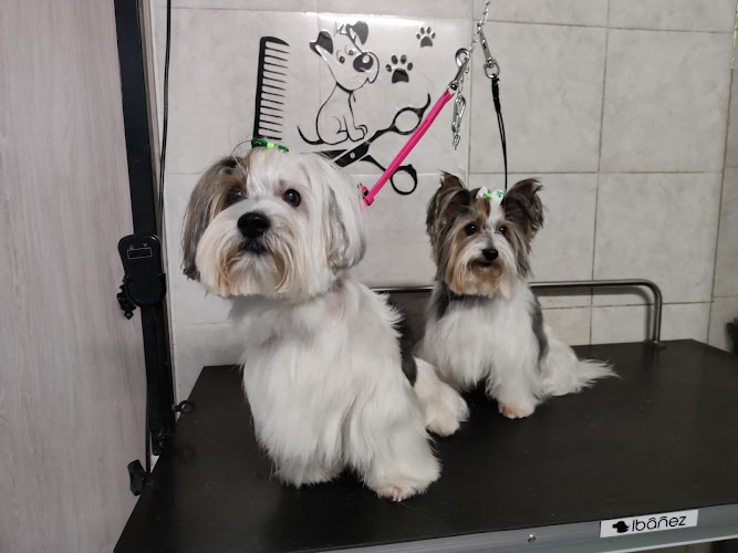 Peludos Peluqueria Canina en Álava