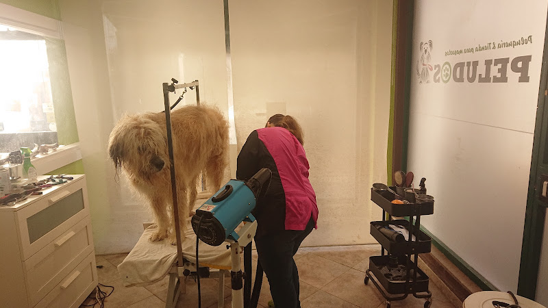 Peludos Peluquería Canina Y Tienda en Asturias