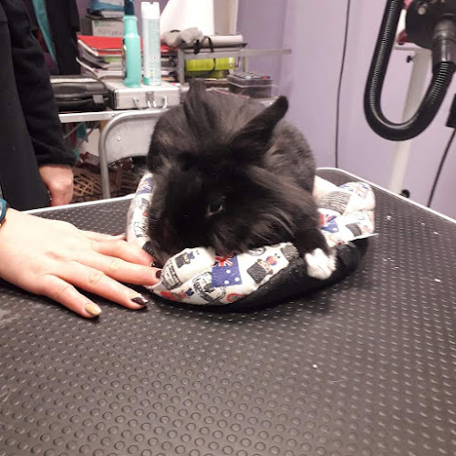Peludos Pets en Asturias